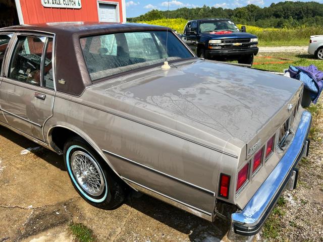 Photo 3 from auction – 1983 CHEVROLET CAPRICE CL with VIN 2G1AN69N6D1204831