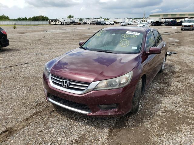 Photo 2 from auction – 2014 HONDA ACCORD EXL with VIN 1HGCR2F82EA082635