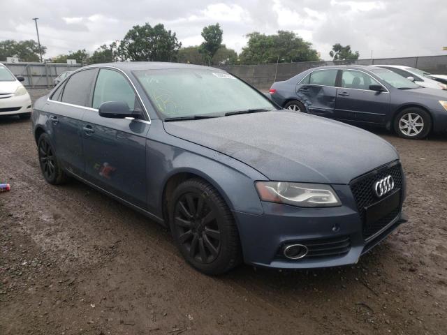AUDI A4 PREMIUM 2010 with VIN WAUEFAFL7AN028486 - Photo from auction