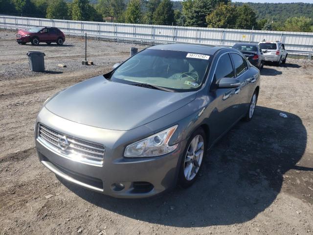 Photo 9 from auction – 2009 NISSAN MAXIMA S with VIN 1N4AA51E49C834072