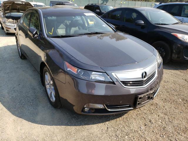 ACURA TL 2012 with VIN 19UUA8F50CA032091 - Photo from auction