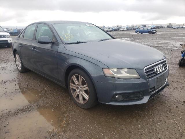 AUDI A4 PREMIUM 2011 with VIN WAUAFAFL5BN002324 - Photo from auction