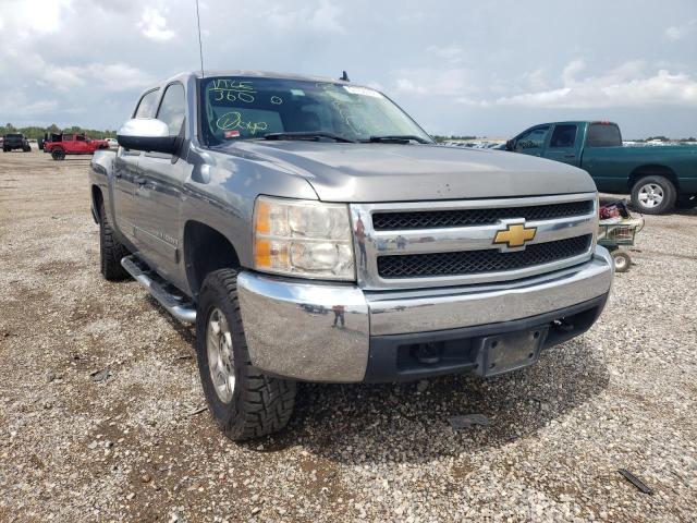 CHEVROLET SILVERADO 2008 with VIN 2GCEK13M981167512 - Photo from auction