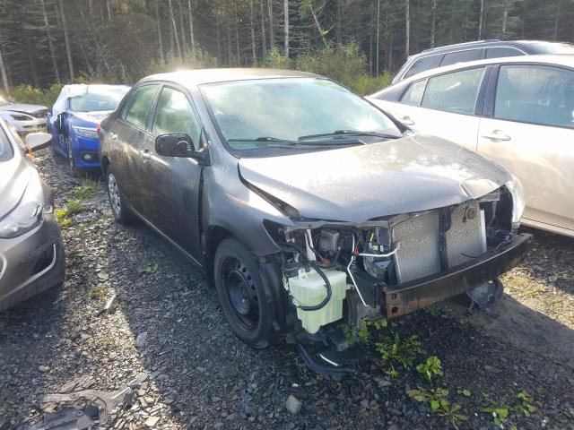 TOYOTA COROLLA BA 2013 with VIN 2T1BU4EEXDC043880 - Photo from auction