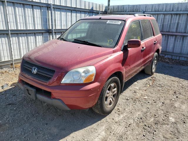 Photo 2 from auction – 2005 HONDA PILOT EXL with VIN 2HKYF18515H500119
