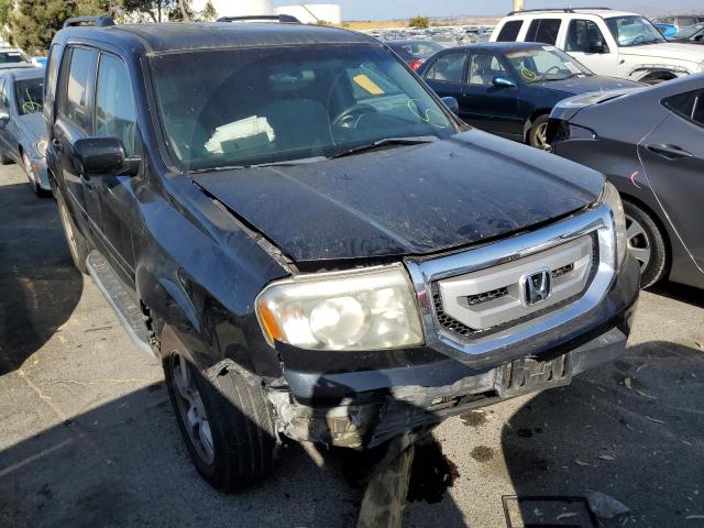 HONDA PILOT EX 2011 with VIN 5FNYF3H43BB026641 - Photo from auction