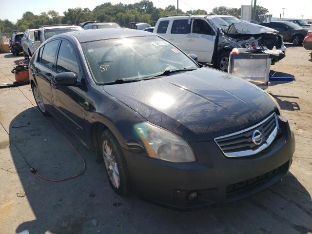 NISSAN MAXIMA SE 2008 with VIN 1N4BA41E18C800491 - Photo from auction
