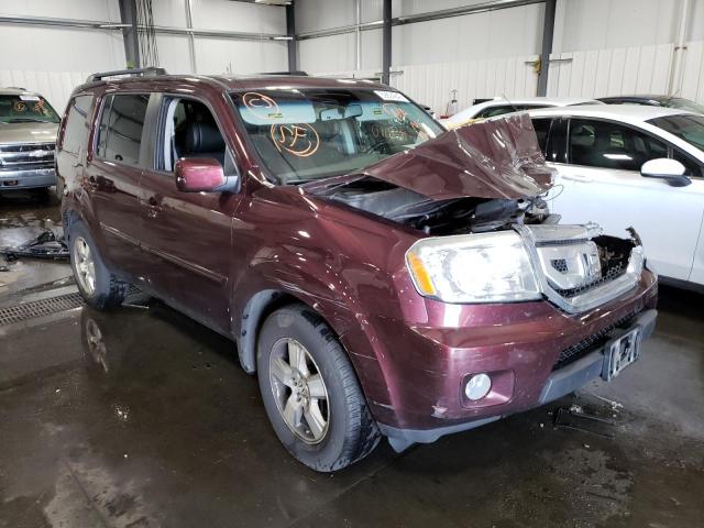 HONDA PILOT EXL 2010 with VIN 5FNYF4H69AB029100 - Photo from auction