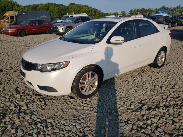 Photo 2 from auction – 2011 KIA FORTE EX with VIN KNAFU4A27B5396615