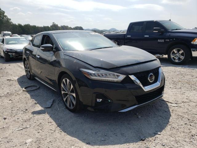 NISSAN MAXIMA PLA 2021 with VIN 1N4AA6FV1MC508740 - Photo from auction