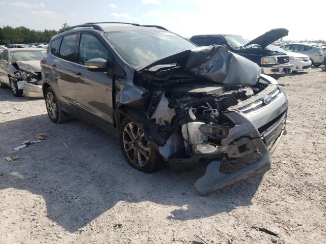FORD ESCAPE SEL 2013 with VIN 1FMCU0H90DUC66715 - Photo from auction