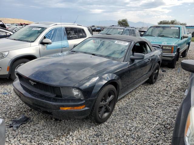 Photo 2 from auction – 2005 FORD MUSTANG with VIN 1ZVFT84N555234101