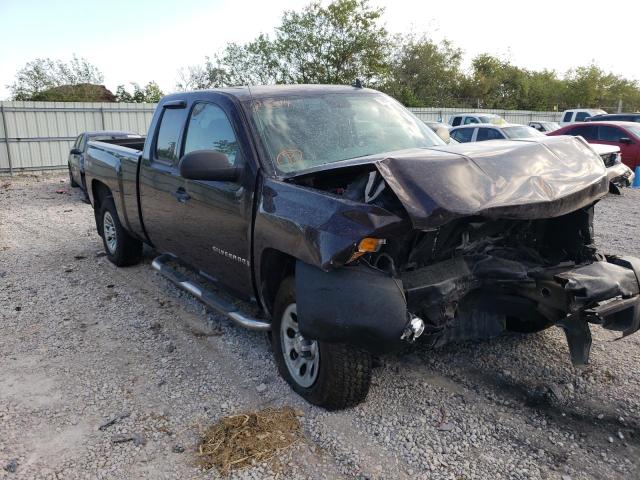 CHEVROLET SILVERADO 2009 with VIN 1GCEK19C19Z242114 - Photo from auction