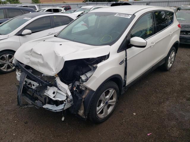 Photo 2 from auction – 2014 FORD ESCAPE SE with VIN 1FMCU0G96EUD74968