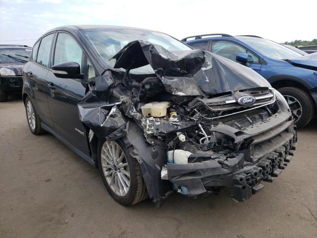 FORD C-MAX SE 2013 with VIN 1FADP5AU6DL541687 - Photo from auction