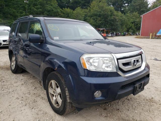 HONDA PILOT EXL 2010 with VIN 5FNYF4H55AB026122 - Photo from auction