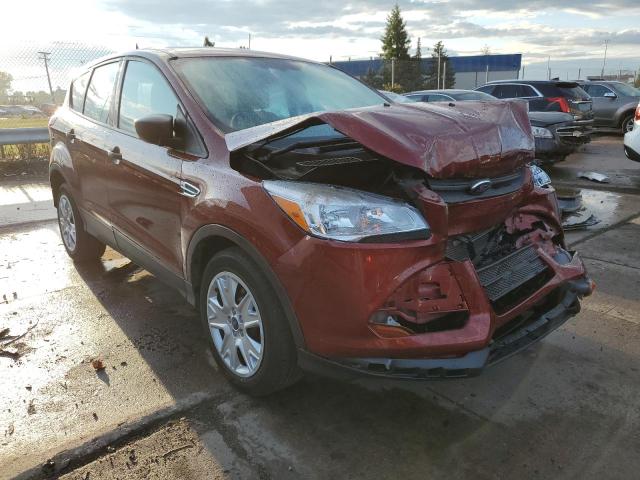 FORD ESCAPE S 2014 with VIN 1FMCU0F71EUA04253 - Photo from auction