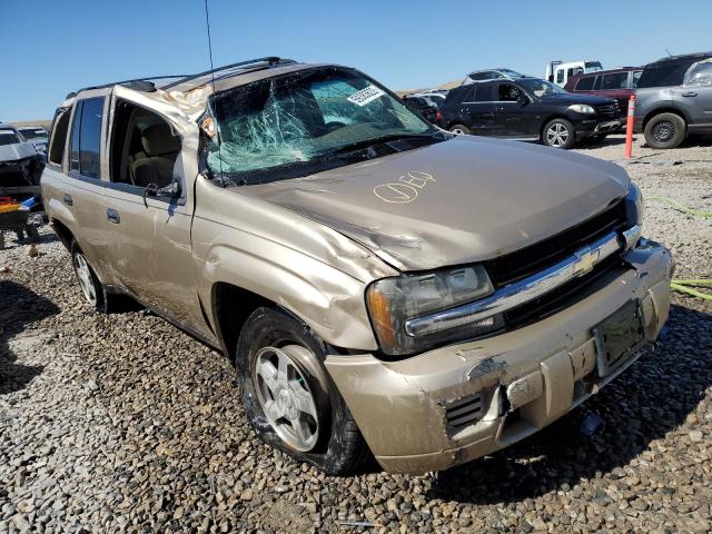 CHEVROLET TRAILBLAZE 2006 with VIN 1GNDT13S962118452 - Photo from auction