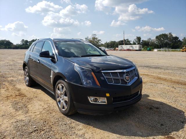 CADILLAC SRX PREMIU 2010 with VIN 3GYFNFEY6AS502061 - Photo from auction