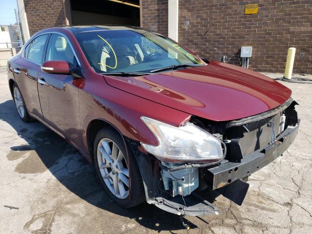 NISSAN MAXIMA S W 2010 with VIN 1N4AA5APXAC849486 - Photo from auction