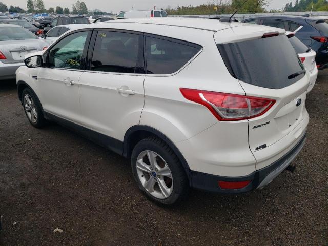 Photo 3 from auction – 2014 FORD ESCAPE SE with VIN 1FMCU0G96EUD74968