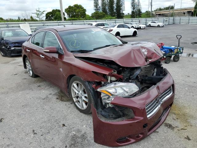 NISSAN MAXIMA S 2010 with VIN 1N4AA5AP6AC842910 - Photo from auction