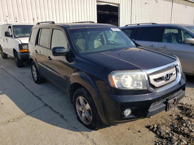 HONDA PILOT EX 2011 with VIN 5FNYF4H42BB044134 - Photo from auction