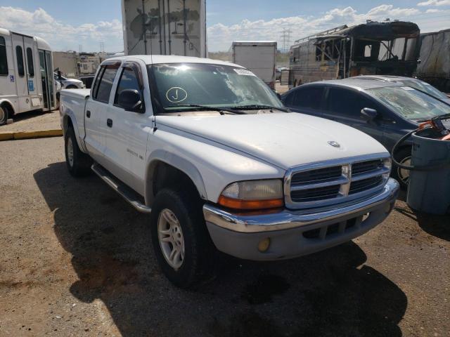 DODGE DAKOTA QUA 2001 with VIN 1B7GG2AN71S125535 - Photo from auction