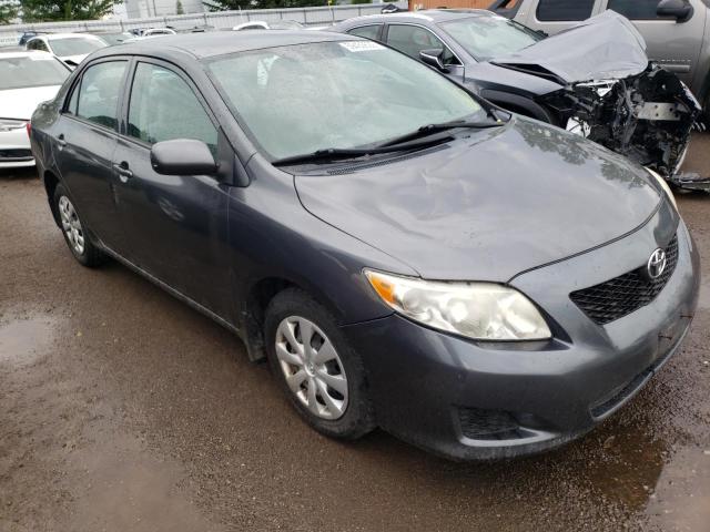 TOYOTA COROLLA BA 2010 with VIN 2T1BU4EE6AC261424 - Photo from auction