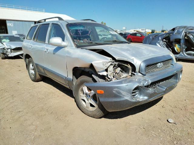 HYUNDAI SANTA FE 2004 with VIN KM8SB13D44U849887 - Photo from auction