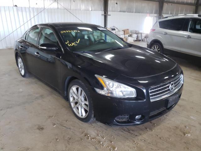 NISSAN MAXIMA S 2009 with VIN 1N4AA51E19C856370 - Photo from auction