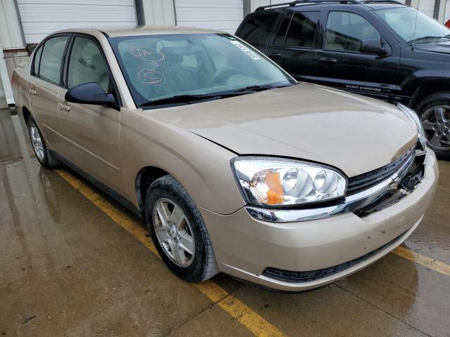 CHEVROLET MALIBU LS 2005 with VIN 1G1ZT52895F281016 - Photo from auction