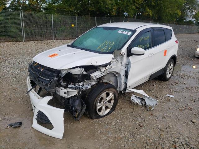 Photo 2 from auction – 2014 FORD ESCAPE SE with VIN 1FMCU0GX1EUD32951