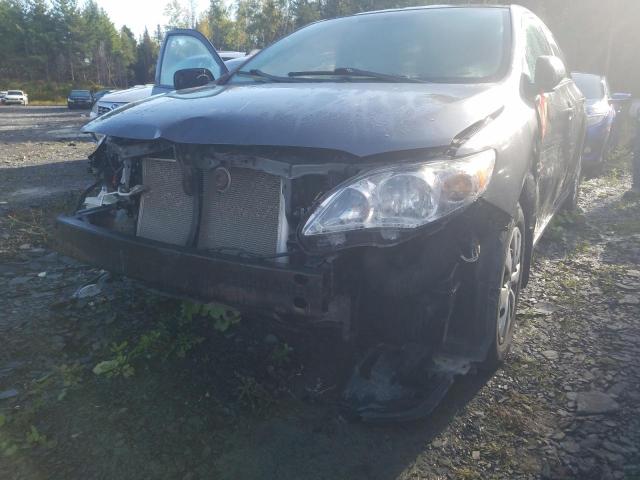 Photo 10 from auction – 2013 TOYOTA COROLLA BA with VIN 2T1BU4EEXDC043880