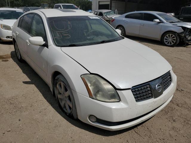 NISSAN MAXIMA SE 2004 with VIN 1N4BA41E54C851695 - Photo from auction