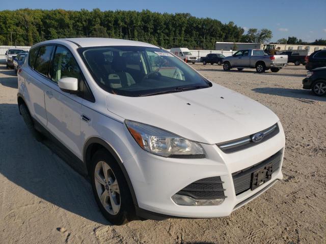 FORD ESCAPE SE 2014 with VIN 1FMCU0GX3EUB24201 - Photo from auction