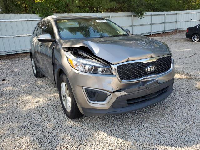 KIA SORENTO LX 2017 with VIN 5XYPG4A31HG205181 - Photo from auction