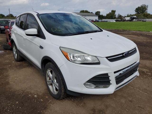 FORD ESCAPE SE 2013 with VIN 1FMCU0G9XDUD66614 - Photo from auction
