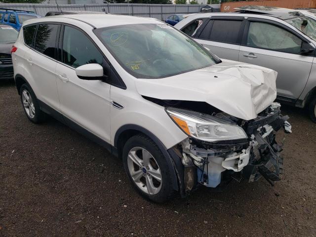 FORD ESCAPE SE 2014 with VIN 1FMCU0G96EUD74968 - Photo from auction