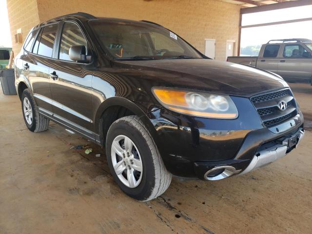 HYUNDAI SANTA FE G 2009 with VIN 5NMSG13D59H268872 - Photo from auction
