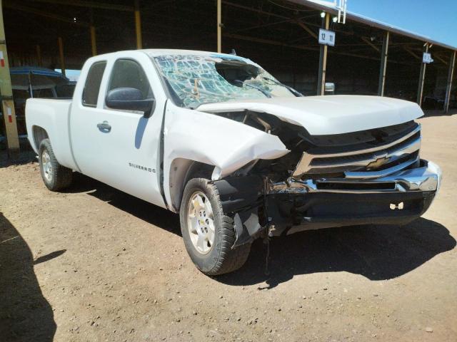 CHEVROLET SILVERADO 2010 with VIN 1GCSCSE00AZ296476 - Photo from auction