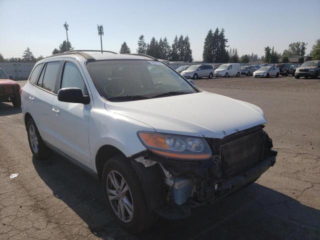 HYUNDAI SANTA FE G 2010 with VIN 5NMSG3AB2AH396035 - Photo from auction