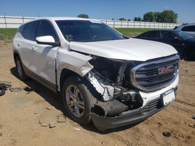 GMC TERRAIN SL 2019 with VIN 3GKALMEV7KL316075 - Photo from auction