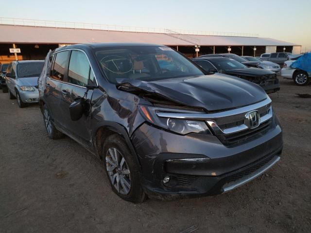 HONDA PILOT EXL 2019 with VIN 5FNYF5H54KB044649 - Photo from auction