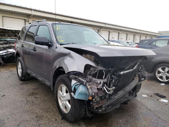 FORD ESCAPE XLT 2010 with VIN 1FMCU0DG9AKD10464 - Photo from auction