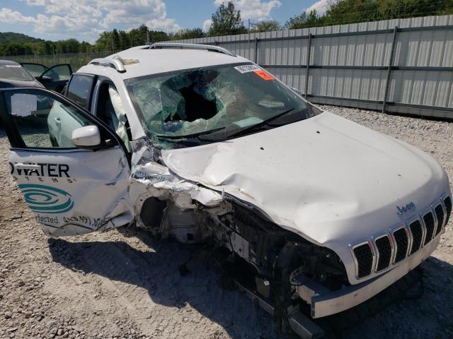JEEP CHEROKEE L 2019 with VIN 1C4PJMLB3KD198892 - Photo from auction