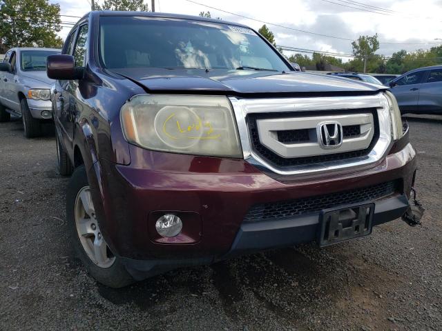 HONDA PILOT EXL 2009 with VIN 5FNYF48579B021631 - Photo from auction