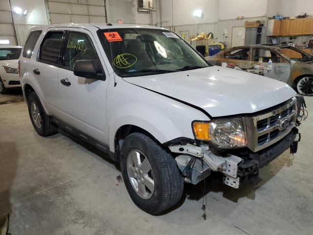 FORD ESCAPE XLT 2010 with VIN 1FMCU0DG9AKB75955 - Photo from auction