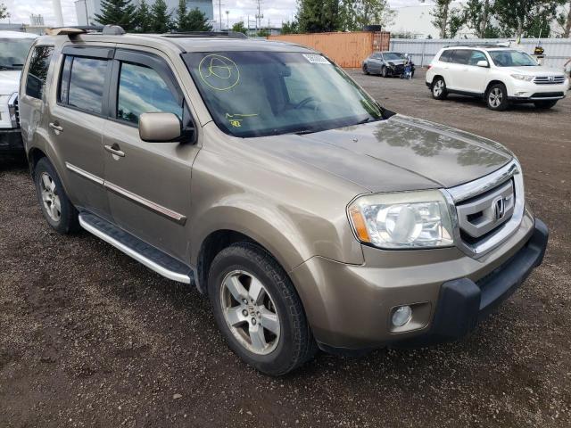 HONDA PILOT EXL 2009 with VIN 5FNYF48569B501059 - Photo from auction
