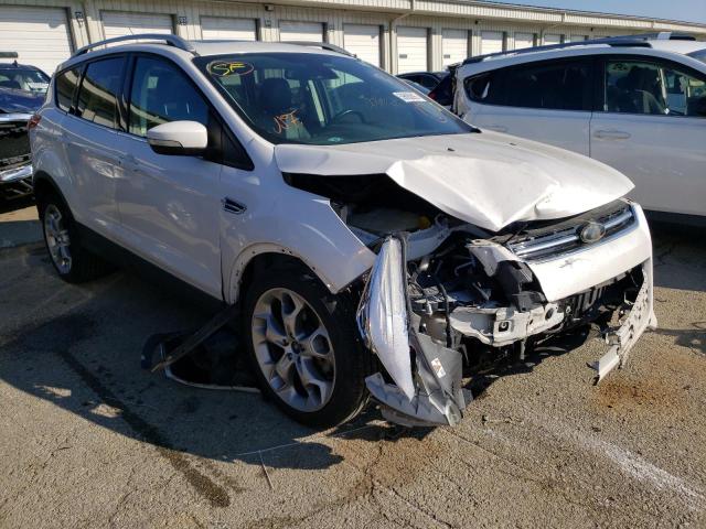 FORD ESCAPE TIT 2014 with VIN 1FMCU0J96EUA12647 - Photo from auction